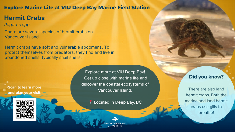 VIU Deep Bay Station